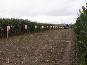 Polní den kukuřice 2009 - 107
